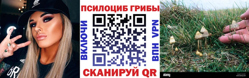 Галлюциногенные грибы GOLDEN TEACHER  omg ссылка  Давлеканово 